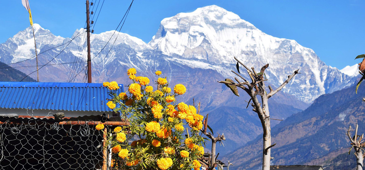 धौलागिरि आधार शिविर पुग्ने पर्यटकलाई होटलको सुविधा