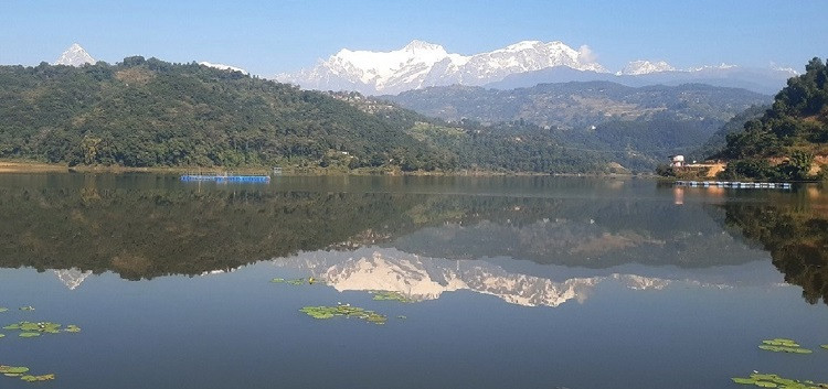 रुपातालमा विभिन्न जातका १० हजार माछाका भुरा छाडियो