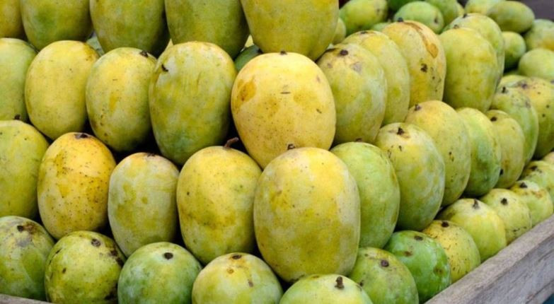 आजको फलफूल तथा तरकारीको मूल्य, मालदह आँप प्रतिकेजी १५०