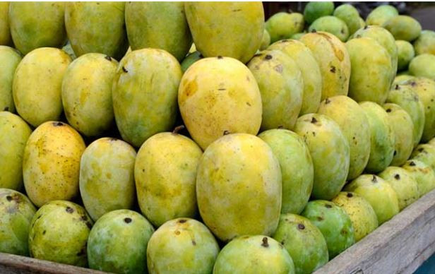 आजको फलफूल तथा तरकारीको मूल्य, मालदह आँप १८० रुपैयाँ