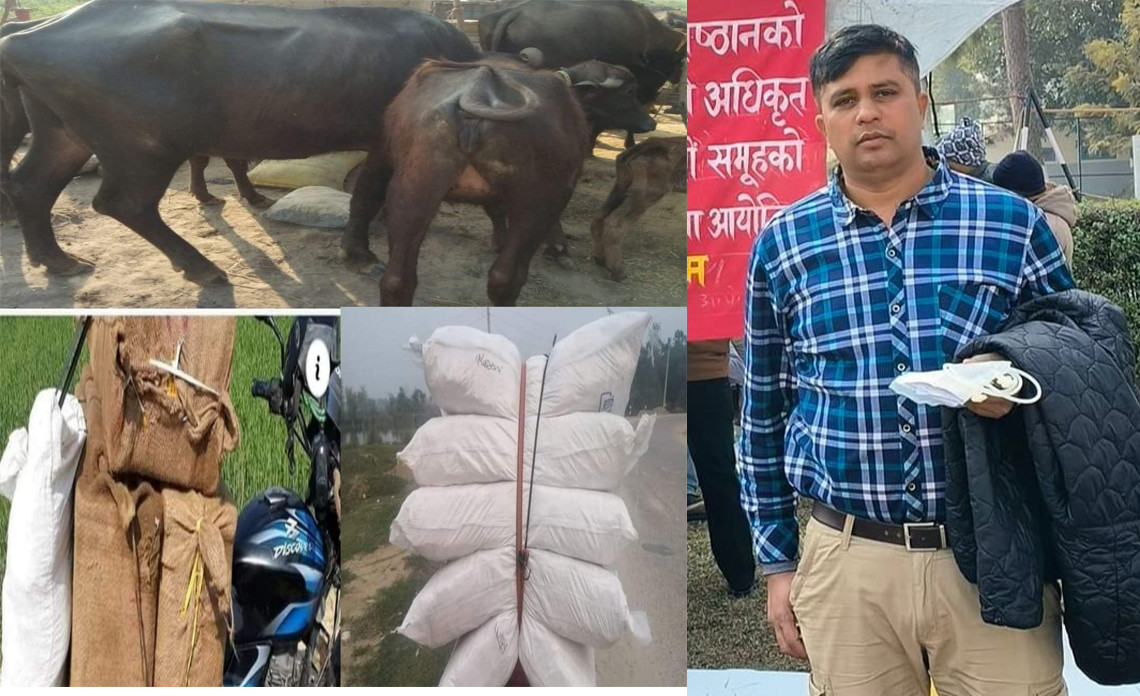 मुसहर्वा बलिरामपुरबाट तस्करी