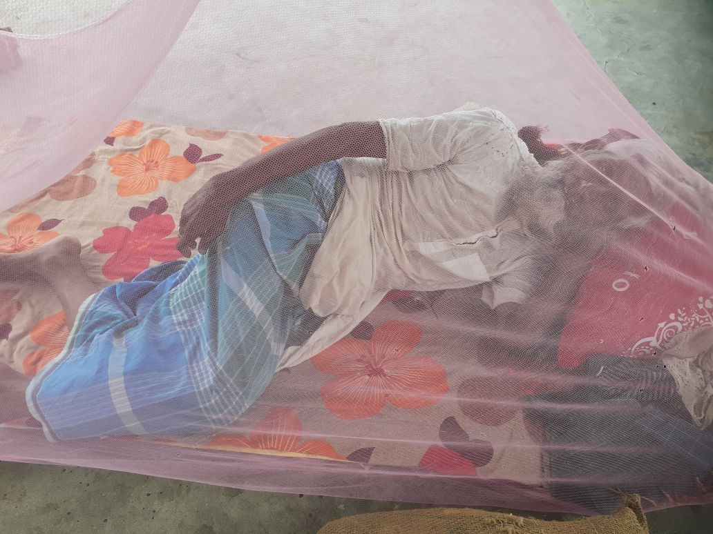 पारिवारिक तिरस्कारले घर छाडेका ८० बर्षिय वृद्ध धनुषाको जंगलमा अलपत्र