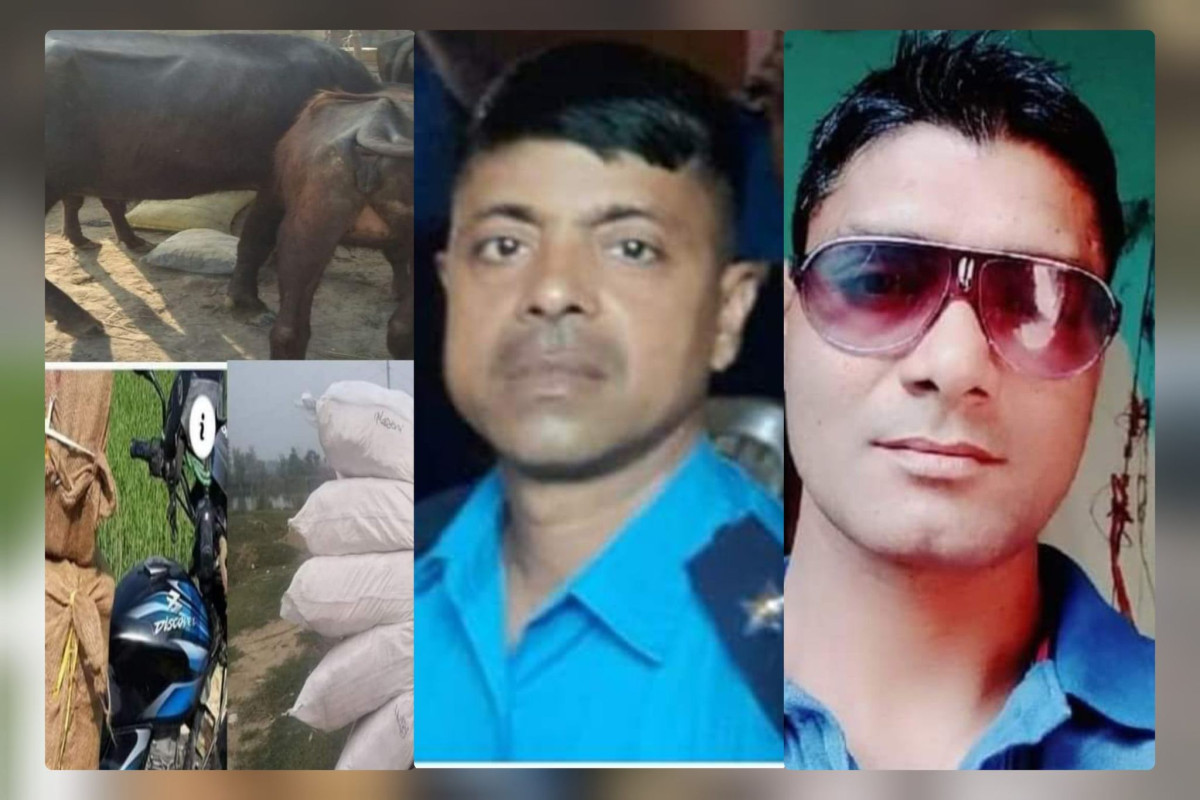 स्थानीय चौकी र तस्करको सेटिङमा खुलेयाम तस्करी