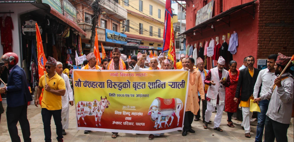 पाल्पामा गौ हत्याविरुद्ध  विरोध प्रदर्शन