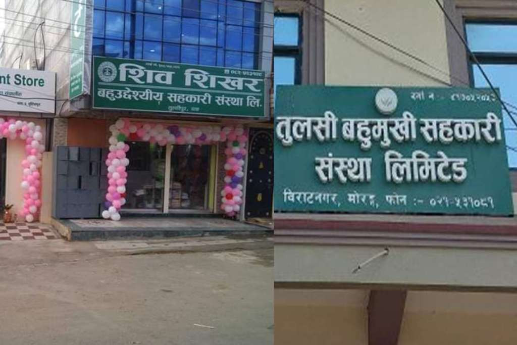 शिवशिखर र तुलसी बहुमुखी सहकारी समस्याग्रस्त घोषित