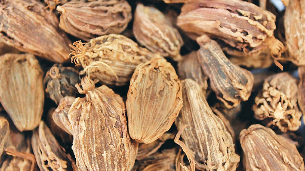 अलैँची बिक्रीबाट २४ करोड आम्दानी