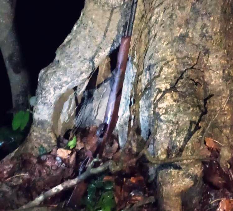 भरुवा बन्दुक बरामद