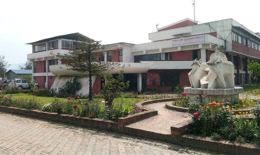 नार्कका कार्यकारी निर्देशक ध्रुवराज भट्टराईलाई काम गर्न रोक