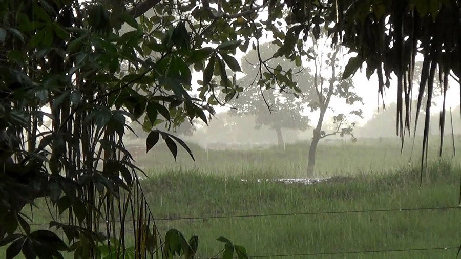 हिउँदे वर्षा नहुँदा किसान चिन्तित