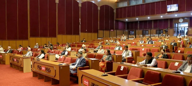 राष्ट्रिय सभामा मौलिक हक कार्यान्वयनका लागि कानुन निर्माणसम्बन्धी संकल्प प्रस्ताव पेस