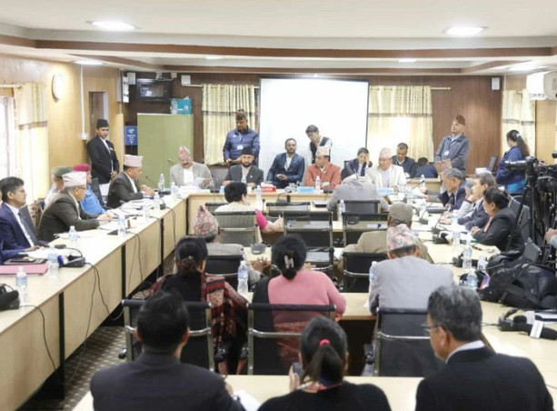 अध्ययन गरेर मात्र कदम चाल्न गृह मन्त्रालयलाई सांसद तामाङको सुझाव