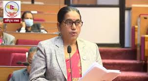 सत्ताको खेलले संसद् प्रभावकारी हुन सकेन : उपाध्यक्ष घिमिरे