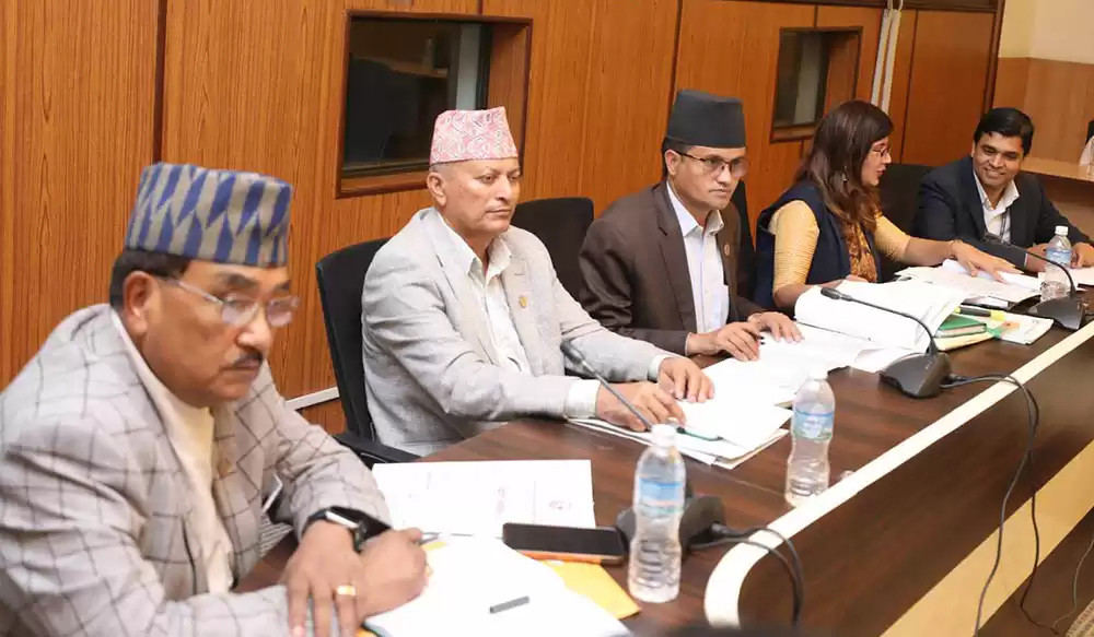 सहकारी छानबिन समितिले गृहसचिव र प्रहरी महानिरीक्षकलाई बोलायो
