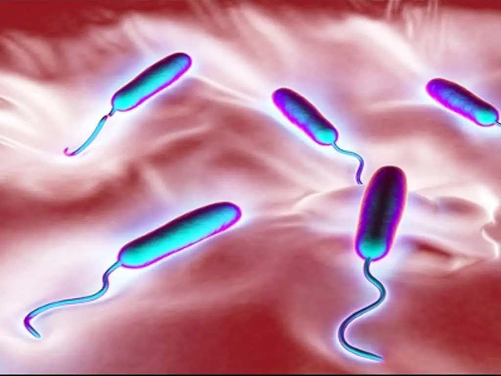 ६ जिल्लामा फैलियो हैजा