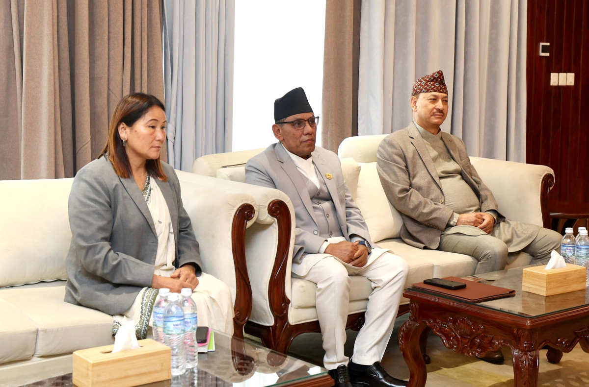संवैधानिक परिषद्को बैठक स्थगित