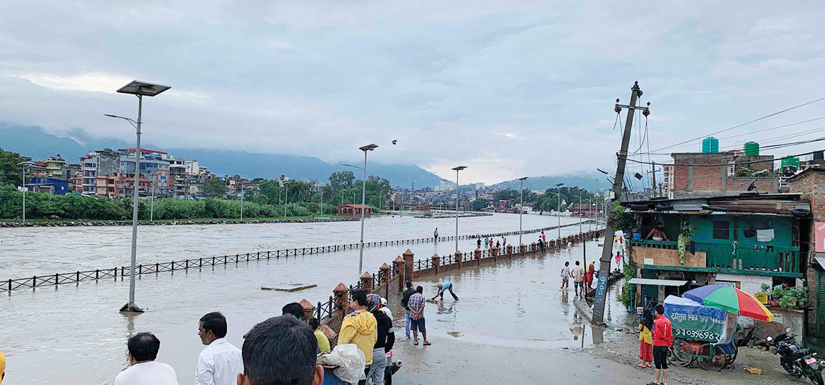 कौडीको मूल्यमा करोडौंका घरजग्गा !
