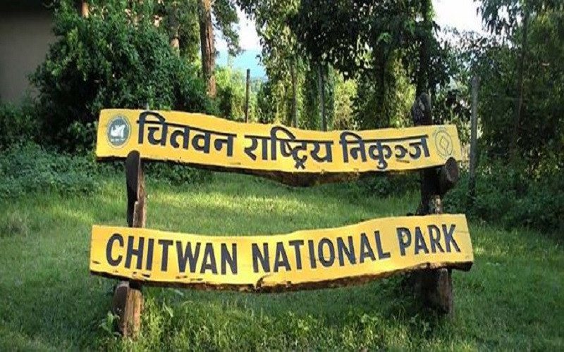 चितवन राष्ट्रिय निकुञ्जद्वारा नियम विपरीत काम गर्ने ६५ जनालाई कारबाही