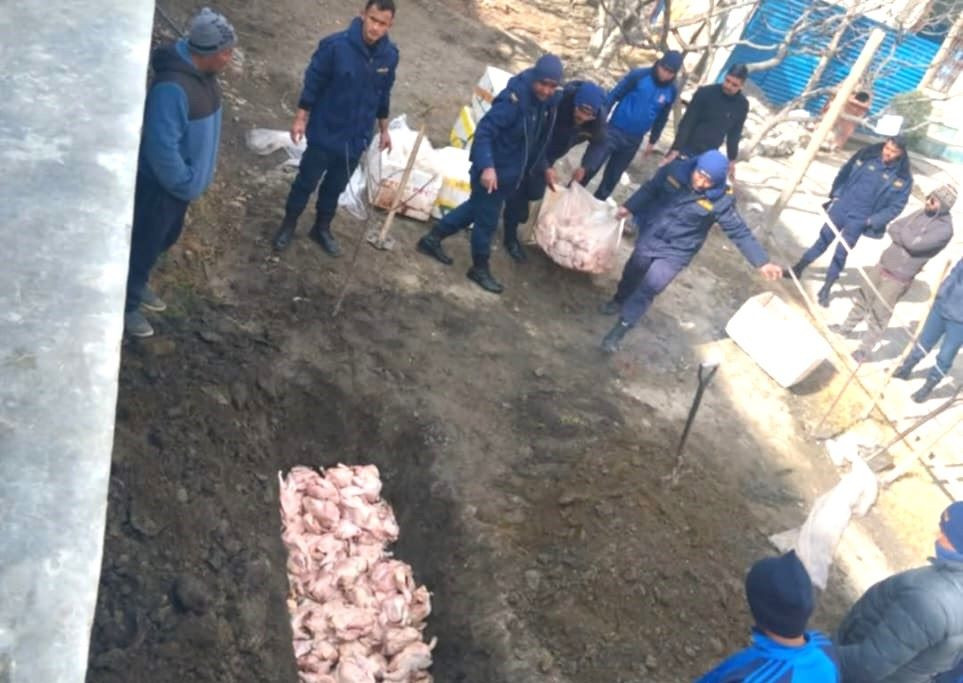 सडेको ४०० केजी मासु प्रहरीद्वारा नष्ट