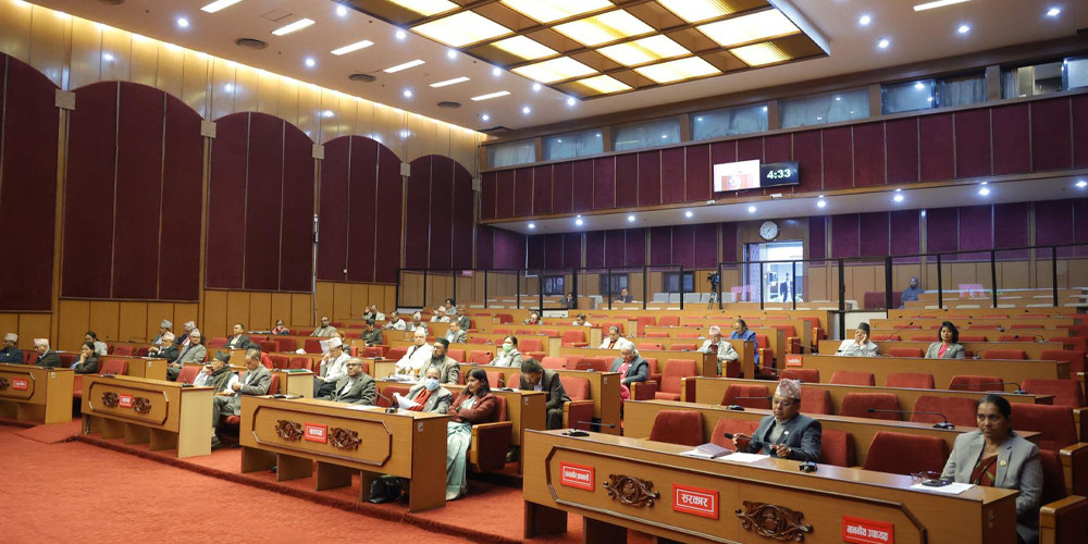 रिङ्कुकुमारी सदाको बलात्कारमा सङ्लग्नलाई कारबाही गर्न माग