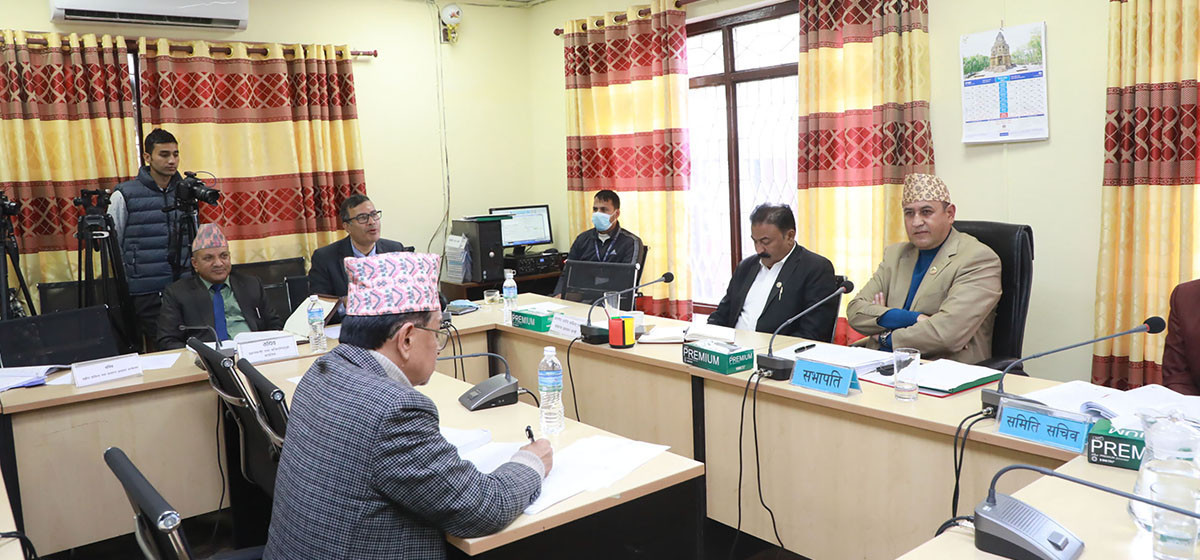 अतिरिक्त सचिवको औचित्यमाथि बहस