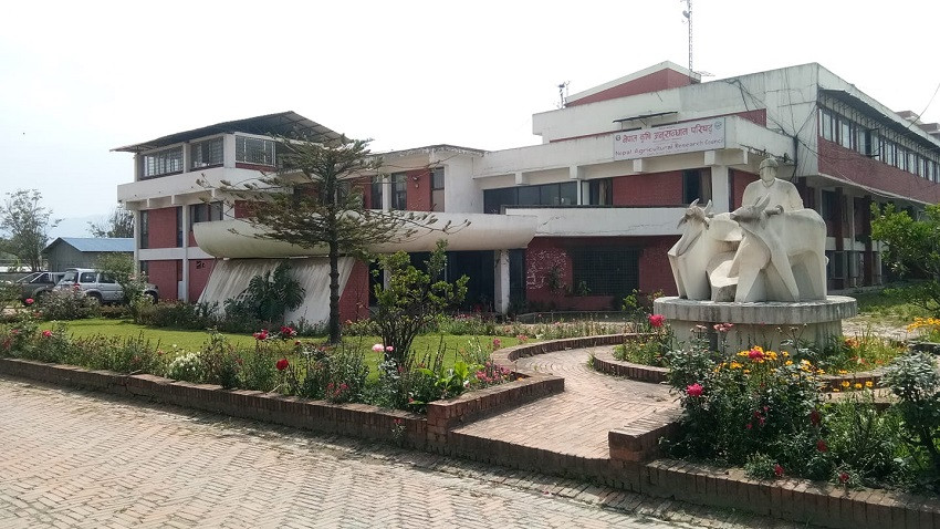 तराई क्षेत्रका युवा उद्यमी किसानका लागि आवासीय कृषि यान्त्रिकीकरण तालिम सञ्चालन