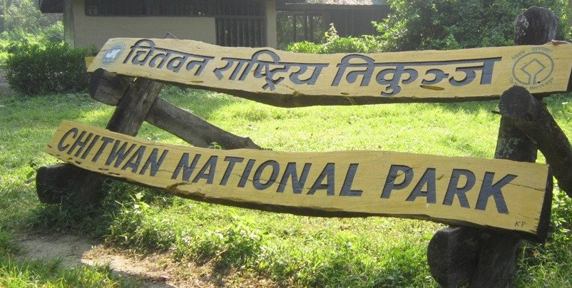 जोखिममा रहेका सात वटा गुँडबाट गोहीको अण्डा सङ्कलन