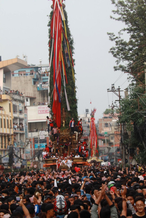 रातो मच्छिन्द्रनाथको रथयात्रा शुरू हुँदै, आज पुल्चोकबाट रथ तानेर गाःबहाल पुर्‍याइने