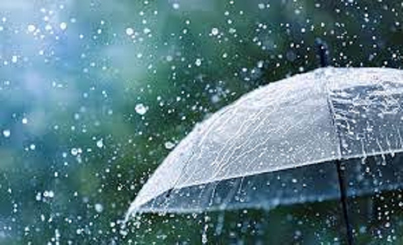 पूर्वी तराईमा रातिदेखि नै वर्षा, दिउँसो अरु ठाउँमा पनि पानी पर्ने