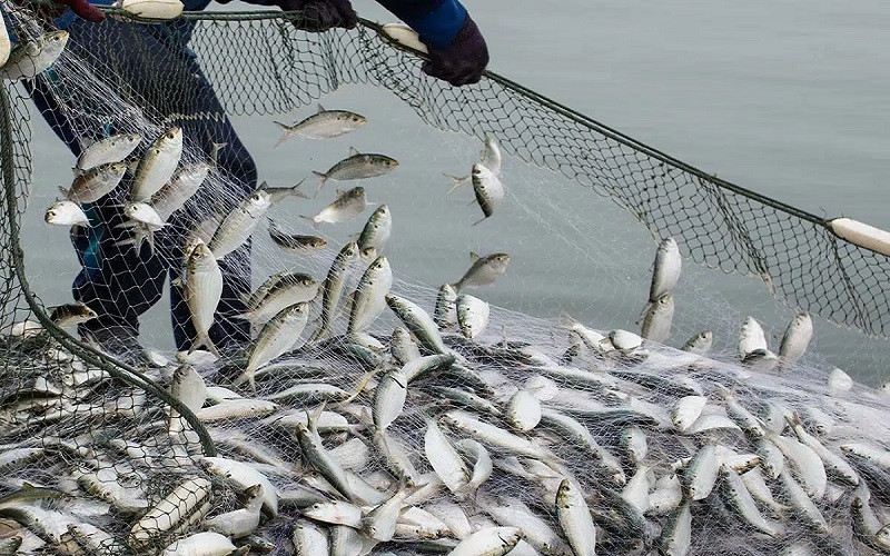 गैरकानूनी रूपमा माछा मार्नेविरुद्धको सङ्घर्ष दिवस