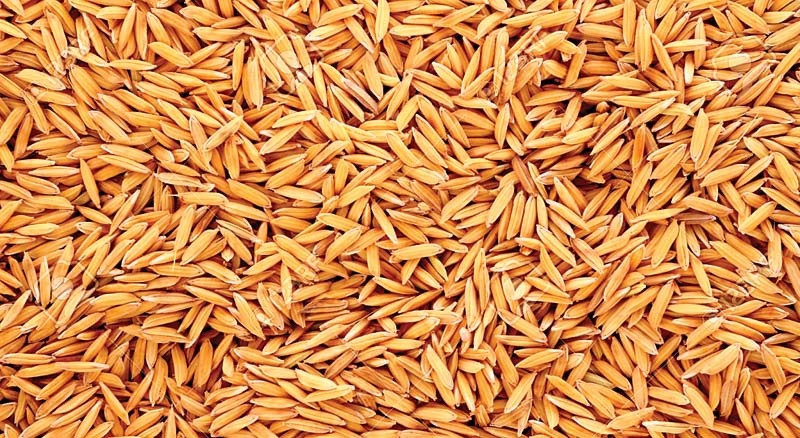 धानको उचित मूल्य नपाउँदा किसान निराश