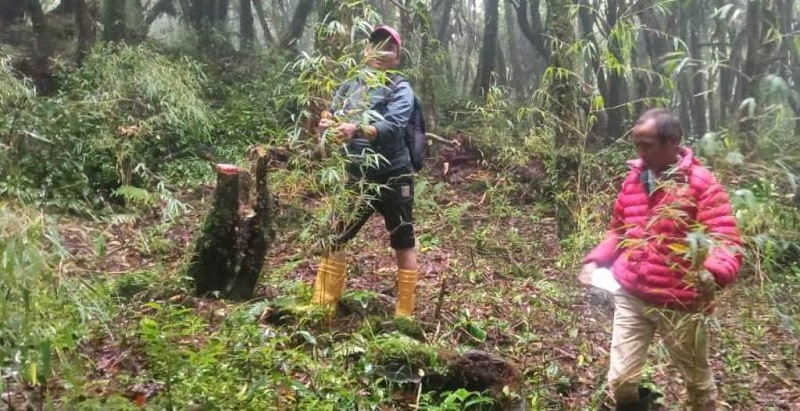 भोजपुरमा लोपोन्मुख ‘रेड पान्डा’ को संरक्षण गर्न क्यामेरा जडान