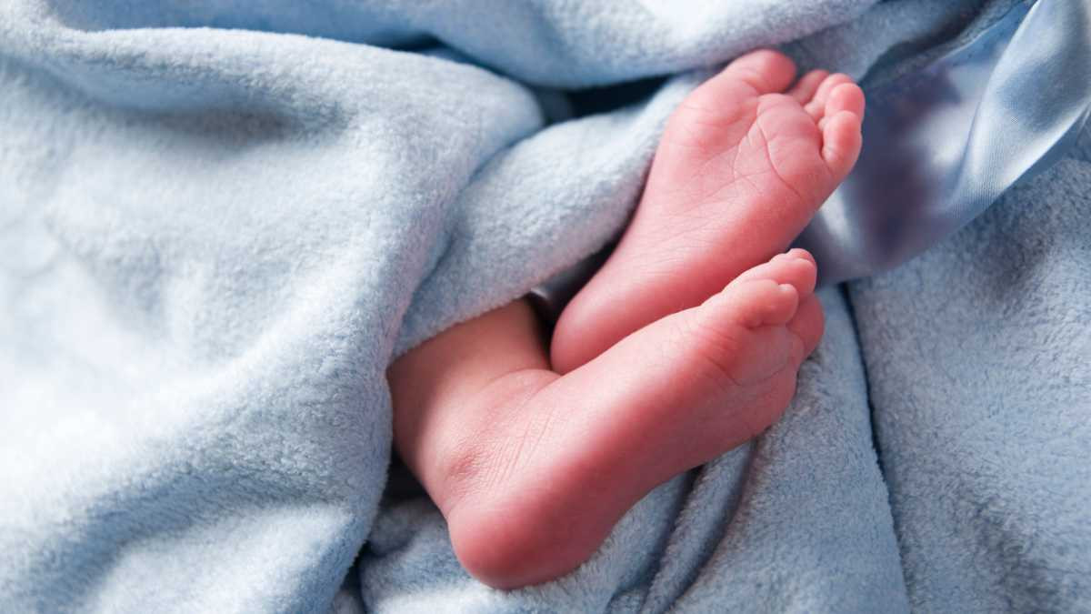 कपिलवस्तुमा सर्पले डस्दा बालिकाको मृत्यु