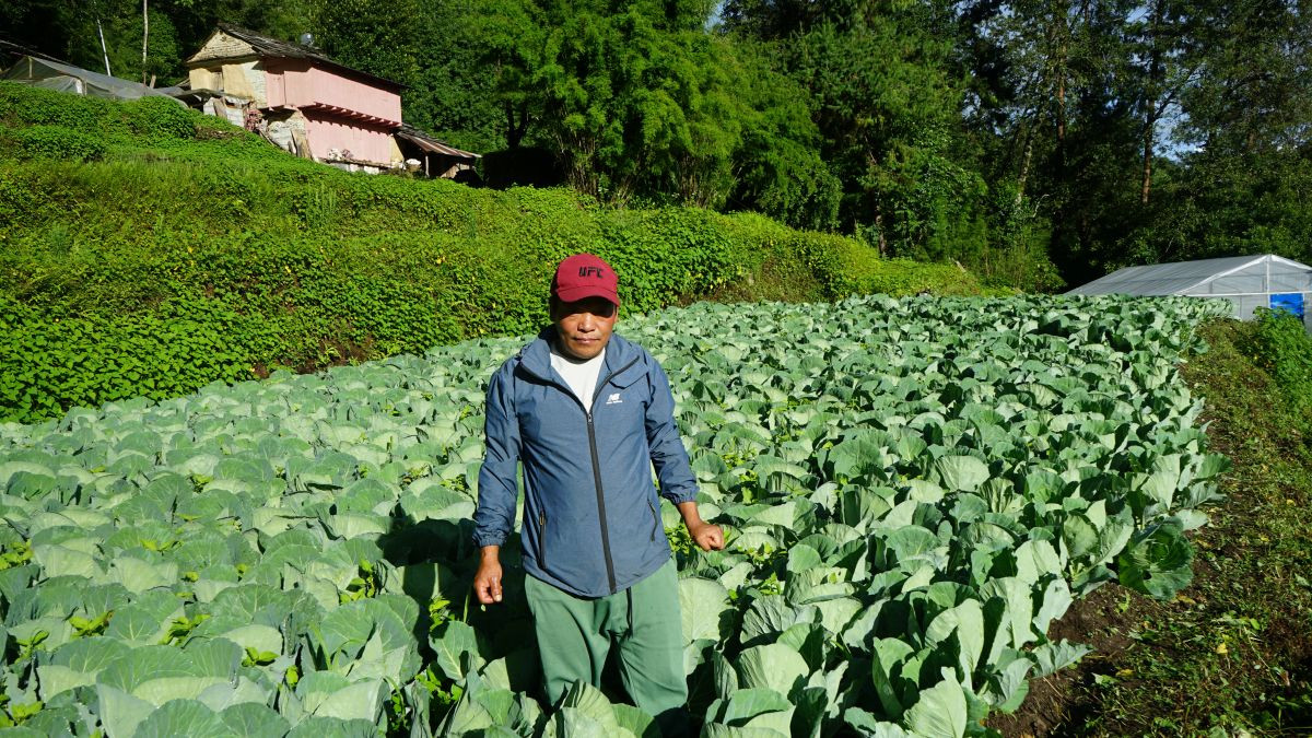 जैविक विधिबाट उत्पादित तरकारी उपभोक्ताको रोजाइ