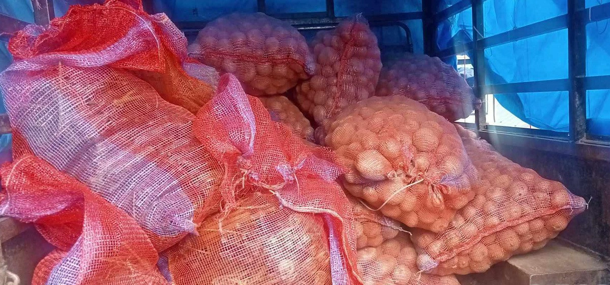 गत आवमा भोजपुरमा ५१ हजार मेट्रिक टन आलु उत्पादन