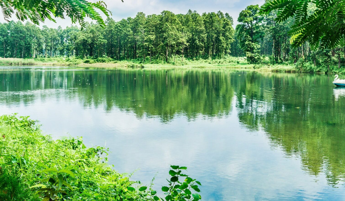 कञ्चनपुरका सीमसार तथा ताल तलैयाको अस्तित्व संकटमा