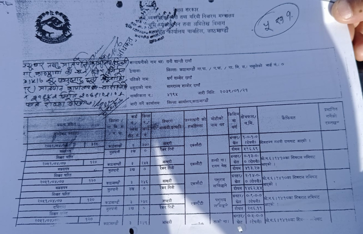 purja 1.jpg