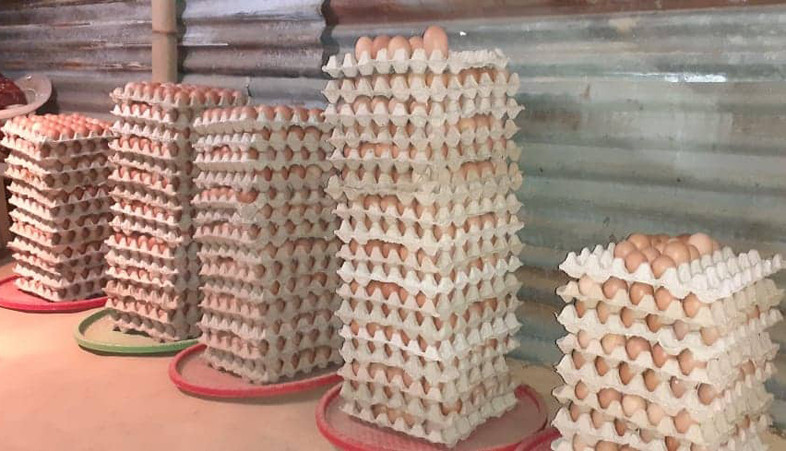 अण्डाको भाउ फेरि बढ्यो