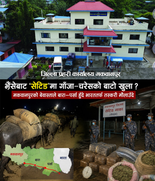 भैंसेबाट ‘सेटिङ’मा गाँजा–चरेसको बाटो खुला ?,  मकवानपुरको बेवास्ताले बारा–पर्सा हुँदै भारततर्फ तस्करी मौलाउँदै